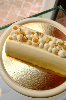 Bûche Mandarine Sapin - Image 1